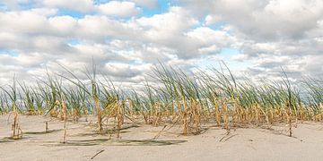 Sand-Wind-Meer von Jeroen Otto
