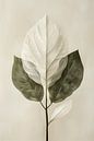 Serene leaf - Japandi style - 4 - green by Marianne Ottemann - OTTI thumbnail