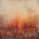 Herfst gras abstract van TheXclusive Art thumbnail