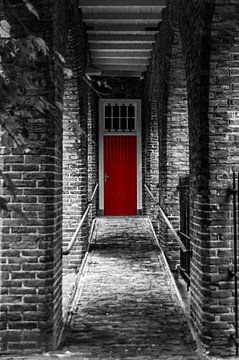 the red door