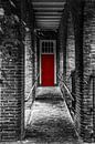 the red door van Robin Pics (verliefd op Utrecht) thumbnail