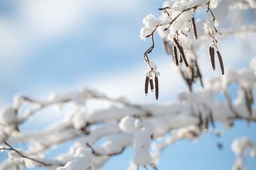 Druppels smeltend sneeuw en mooie luchten van Wendy de Jong