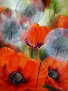 Mohn und Pusteblumen