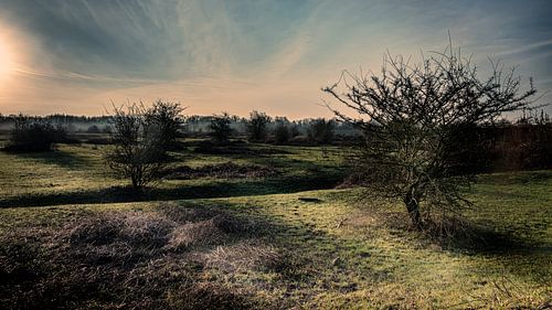 Sonnenaufgang Meinerswijk
