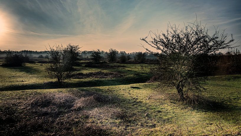 Sonnenaufgang Meinerswijk von Eddy Westdijk