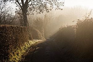 Himmlischer Sonnenaufgang in Elzet