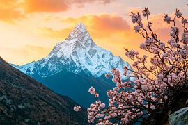 Blossoming mountains in the evening light by Poster Art Shop