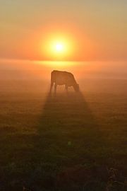 Fairytale sunrise in the countryside. by Shutterbalance