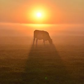 Märchenhafter Sonnenaufgang im Landschaft. von Shutterbalance