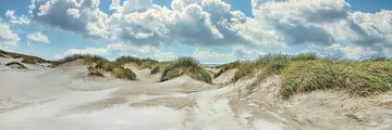 dune in panorama of Dutch coast by eric van der eijk