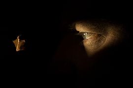 Peek by John Wieringa