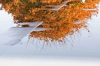 Herfst
