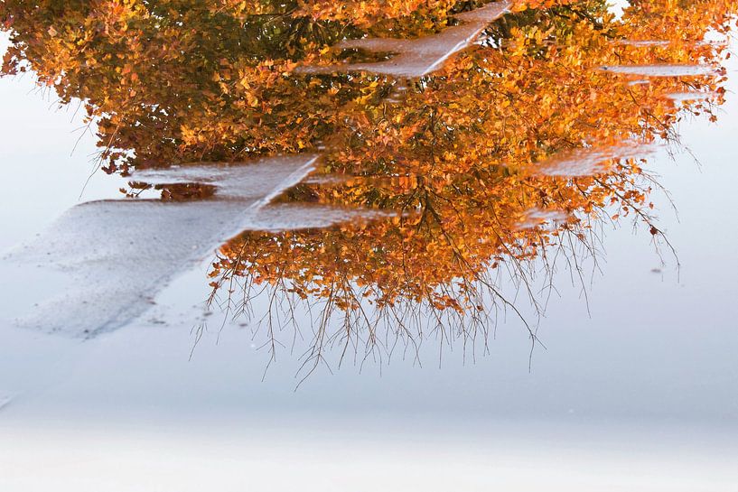 Herfst von An Ritchie