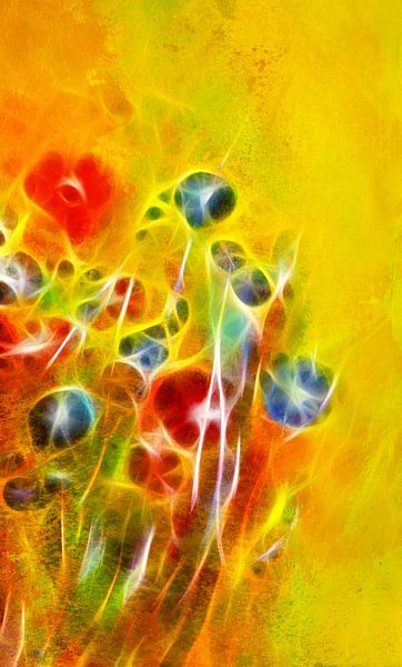it is in bloom by Claudia Gründler