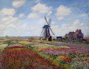Feld der Tulpen in Holland - Claude Monet