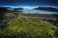Lichen en mos op de gletsjer in IJsland van Voss Fine Art Fotografie thumbnail