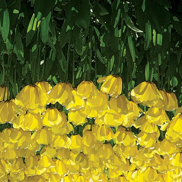 Tulips Down Under by GeeeDeeeBeee