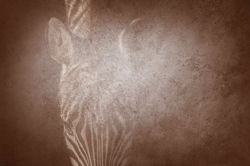 Zebra in Vervaging Stille Stripes in Sepia