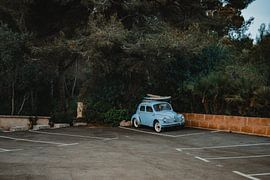 Eine Ente auf einem verlassenen Parkplatz von Erwin van Kester