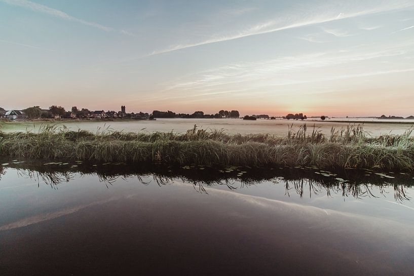 Foggy morning in Hoogmade with dew on the land by Anne Zwagers