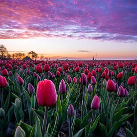 Fraai gekleurde lucht vlak voor zonsopkomst van Bas Banga