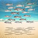 When Fish Fly von Marja van den Hurk Miniaturansicht