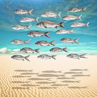 When Fish Fly