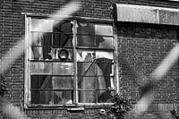 Broken windows and factory hall Hembrug site