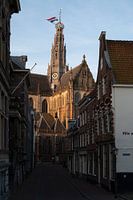 Blick auf die Bavo Kirche in Haarlem