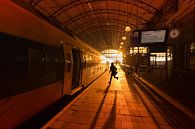 Man runs to catch train at Hollands Spoor Station by Rob Kints thumbnail