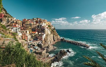 Panorama Manarola, Cinque Terre van Sidney van den Boogaard