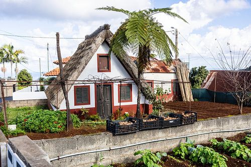 Orgineel Santana huisje op Madeira