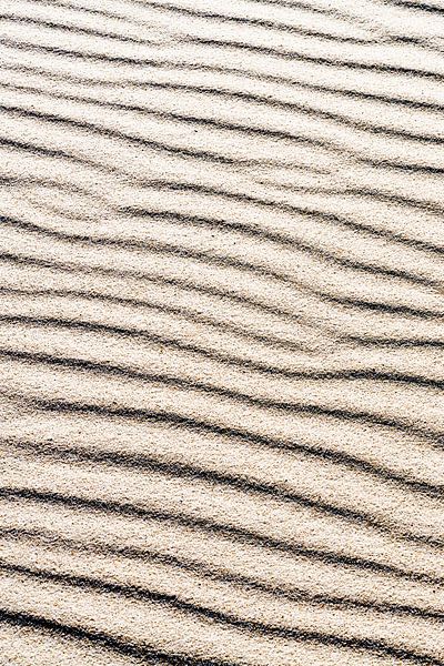 abstract interplay of lines with earth tones by eric van der eijk