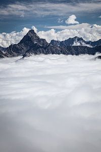 Au-dessus des nuages sur kuh-bilder.de