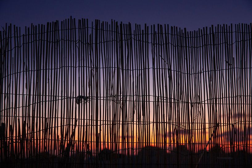 Sunset coast of Caserta Italy. Seen through wickerwork fence. by Albert Brunsting