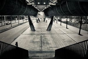 Den Haag ist die Stadt des Friedens und der Gerechtigkeit.