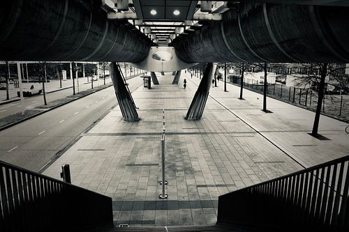 Den Haag is de stad van vrede en recht.