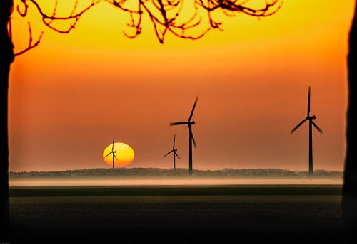 The Sun - balloon by Rop Oudkerk