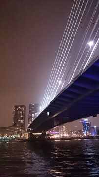 Erasmusbrug Rotterdam bij nacht van Leonie Vreeswijk-Feith