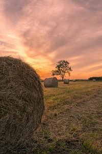 Rouleaux de foin au coucher du soleil sur Moetwil en van Dijk - Fotografie