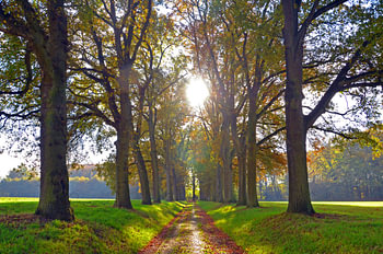 Herfst