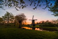 De wippersmolen in Maassluis