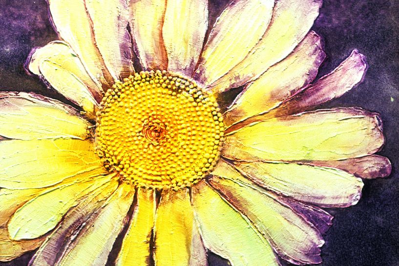 le tournesol par bob brunschot