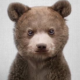 Babybär von Gal Design