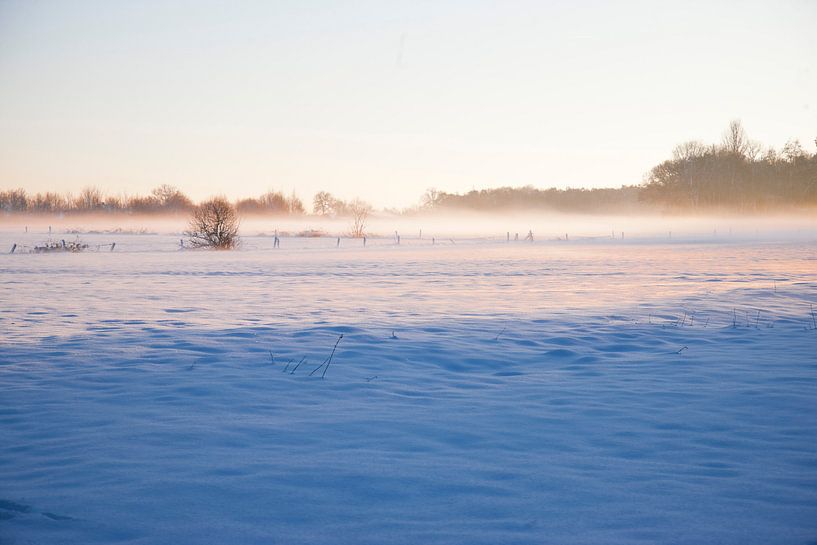 Oude Buisse Heide by Emel Altin