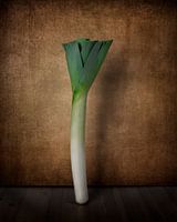 Leek