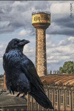 Lost place crow by Leeloo_mp