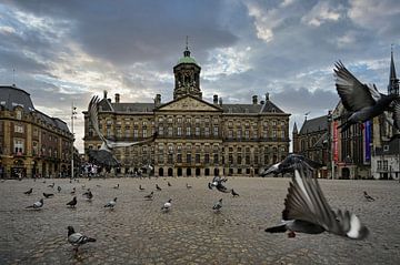 De Dam is van de duiven van Foto Amsterdam/ Peter Bartelings