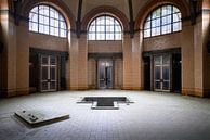 Verlassenes Badehaus in Beelitz. von Roman Robroek Miniaturansicht