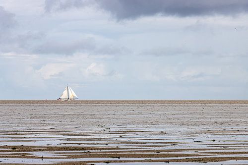 Zeilboot op het wad